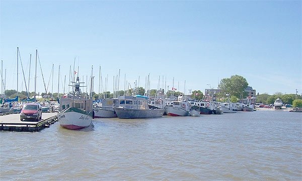 harbour9.jpg