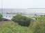 harbour4.jpg